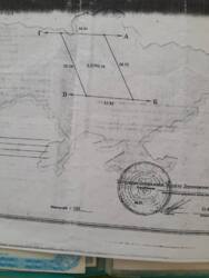 ��������� ��� �������, �����������, ����������� ���� 18