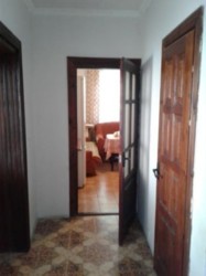 ��������� ��� �����������, �����������, ������� ���� 12