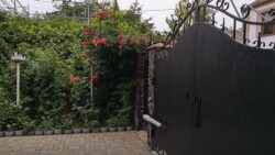 ������� � ������ ����� ����,180 ��. �, 4 ���., �� ���� 7