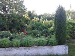 Продается дом Шкільна, Иванковцы, Хмельницкий, Хмельницкая фото 2 Продается дом Шкільна, Иванковцы, Хмельницкий, Хмельницкая фото 2