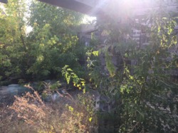 недостроенный жилой дом район 2-ой интернат фото 3 недостроенный жилой дом район 2-ой интернат фото 3