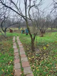 ��������� ��� ����� ����������. ���� 23