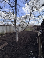 ��������� ������� ���. �����. ����� ���������. ��������. ���� 19