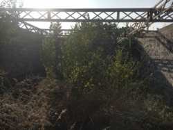 недостроенный жилой дом район 2-ой интернат фото 2 недостроенный жилой дом район 2-ой интернат фото 2