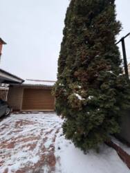 �������� 2-� ������� ��� � ��������� ���� 23