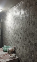 ������ ��� �-� ���������� ���� 5