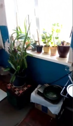 ��������� ��� � ������ �� ���� 5