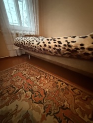 Продается дом. Газифицированный. Славянск. фото 12 Продается дом. Газифицированный. Славянск. фото 12