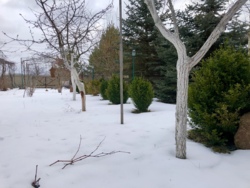 Будинок з власним озером на ділянці 24сот фото 7 Будинок з власним озером на ділянці 24сот фото 7