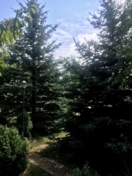 Будинок з власним озером на ділянці 24сот фото 29 Будинок з власним озером на ділянці 24сот фото 29