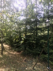 Будинок з власним озером на ділянці 24сот фото 27 Будинок з власним озером на ділянці 24сот фото 27