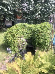 Будинок з власним озером на ділянці 24сот фото 34 Будинок з власним озером на ділянці 24сот фото 34