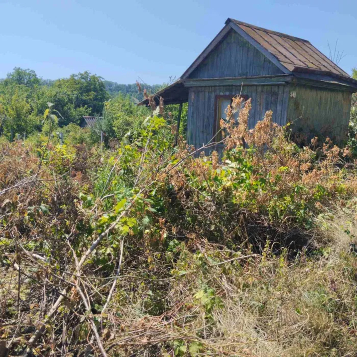 ������ ���� � ������������. ���� 1