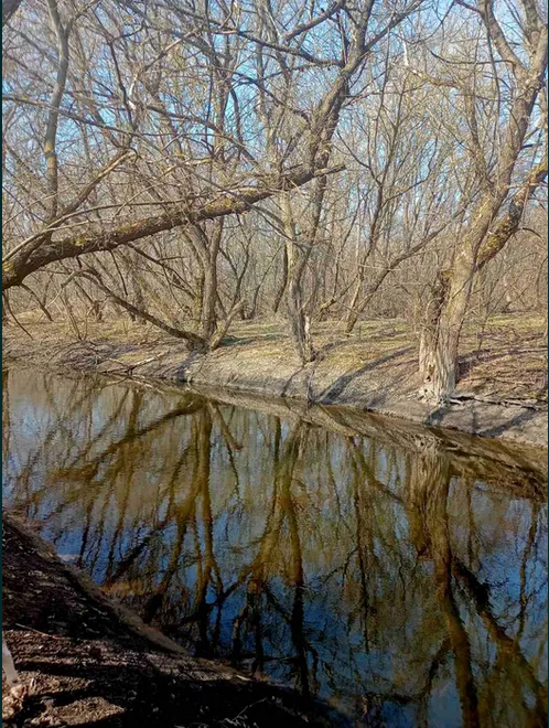 Продам Будинок село Калинівка фото 1 Продам Будинок село Калинівка фото 1