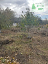 ��������� ���� �� ����������. ���� 7