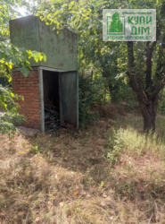 ������ ���� ����� �� ����� 12 ���� 8