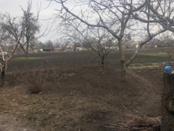 ������ �� ���� ���������. ���� 15