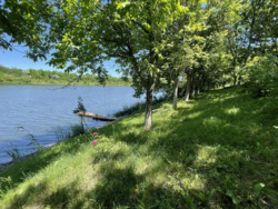 ���� � ��.������ ��� ���� ���� 6