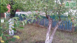 Продам симпатичный ) дачный домик из 3 небольших комнат в дачном кооперативе Ятрать фото 2 Продам симпатичный ) дачный домик из 3 небольших комнат в дачном кооперативе Ятрать фото 2
