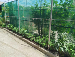 Продам дом в Кировограде, район детской областной больницы фото 9 Продам дом в Кировограде, район детской областной больницы фото 9