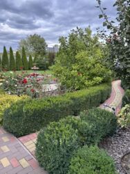 ��������� ������� ����������, ����������, ʳ������������ ���� 16