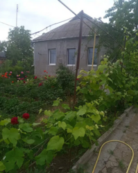 Продам будиночок. фото 1 Продам будиночок. фото 1