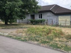 Продам будинок Черняхівка, 50 соток, є скважина. фото 2 Продам будинок Черняхівка, 50 соток, є скважина. фото 2