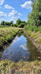 Продається домоволодіння.с. Веселівка,Кропивницький р-н фото 6 Продається домоволодіння.с. Веселівка,Кропивницький р-н фото 6