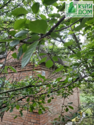 Купить Дачу рассрочка под жильё Геолог. Кропивницкий Купить Дачу рассрочка под жильё Геолог. Кропивницкий