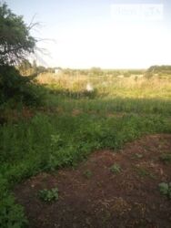 Продається садиба в с. Іванівка фото 2 Продається садиба в с. Іванівка фото 2