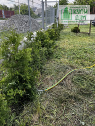 ������ ������� �. ����������� ���� 2