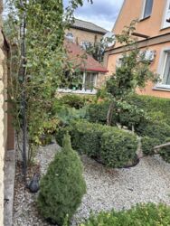 ��������� ������� ����������, ����������, ʳ������������ ���� 18