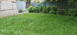 Продам будинок в с Рибчено. фото 13 Продам будинок в с Рибчено. фото 13