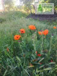   200 2 + 39  /    .  22