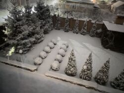 ��������� 1/2 ������� ���� 12