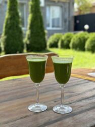 ��������� 1/2 ������� ���� 5