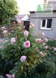 Продається сучасний будинок в с. Клинці фото 18 Продається сучасний будинок в с. Клинці фото 18