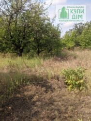 ������ ���� ����� �� ����� 12 ���� 6