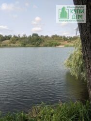 ������ ���� ����� �� ����� 12 ���� 7