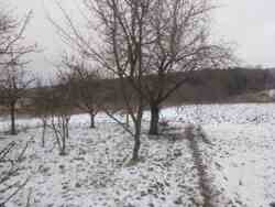 Продам гарний будинок. фото 13 Продам гарний будинок. фото 13