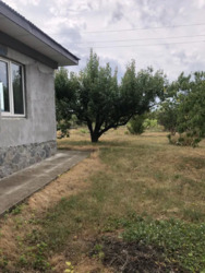 Продам будинок Черняхівка, 50 соток, є скважина. фото 3 Продам будинок Черняхівка, 50 соток, є скважина. фото 3