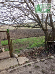 ������� ������� � ��� ���������� ���� 7