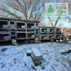 ������� � ������� �� ���� ���� 12