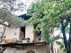 Будинок 250 кв.м 19 сот. ділянка р-н Беляева фото 8 Будинок 250 кв.м 19 сот. ділянка р-н Беляева фото 8