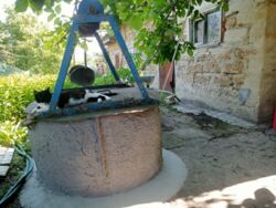 Продається домоволодіння ,с.Веселівка фото 18 Продається домоволодіння ,с.Веселівка фото 18
