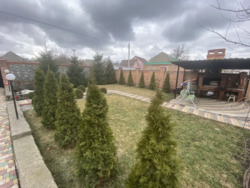 ��������� 1/2 ������� ���� 19