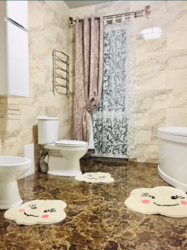 ������ ��� �� ��������� ���� 12