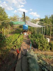 ���� � ��.������ ��� ���� ���� 15