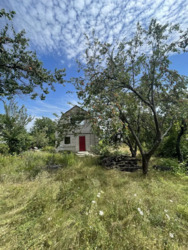 ֳ�� �������! ������ ������������ ���� �. ����������. ���� 4