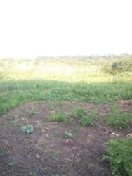 Продається садиба в с. Іванівка фото 3 Продається садиба в с. Іванівка фото 3